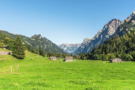 Glaris